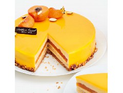 果香十足的杏桃蛋糕，酸酸甜甜！